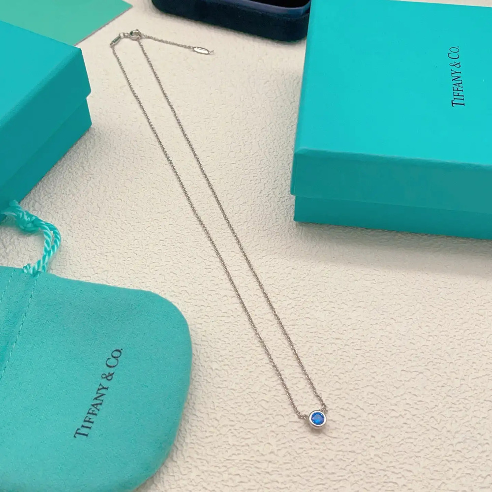 Tiffany & Co. Blue Diamond Silver Necklace